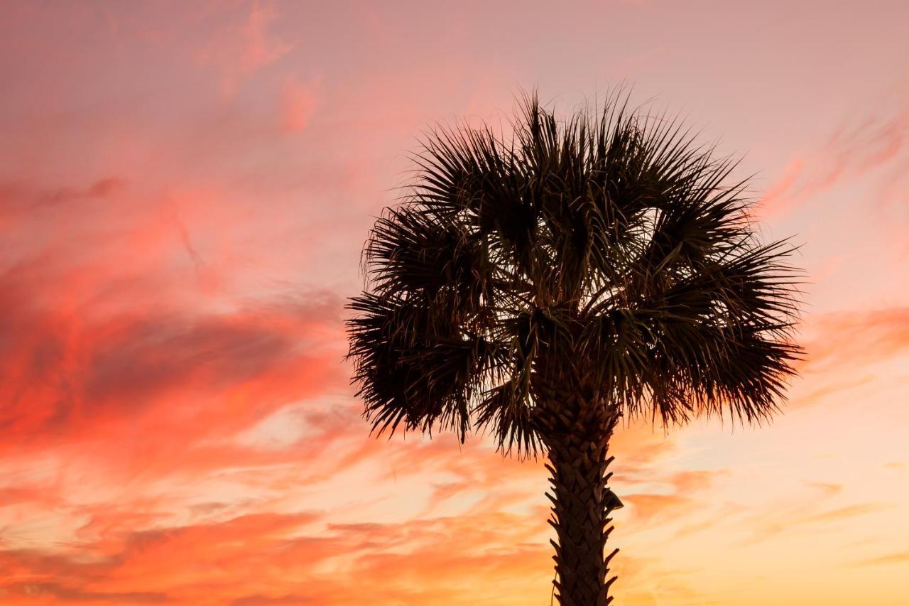 1314 Pelican Watch - Seabrook Island - Beachfront 5 Star Condo - Fido Friendly 외부 사진