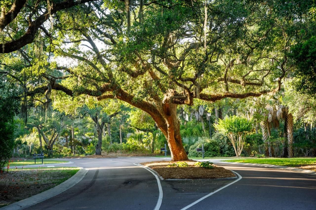1314 Pelican Watch - Seabrook Island - Beachfront 5 Star Condo - Fido Friendly 외부 사진